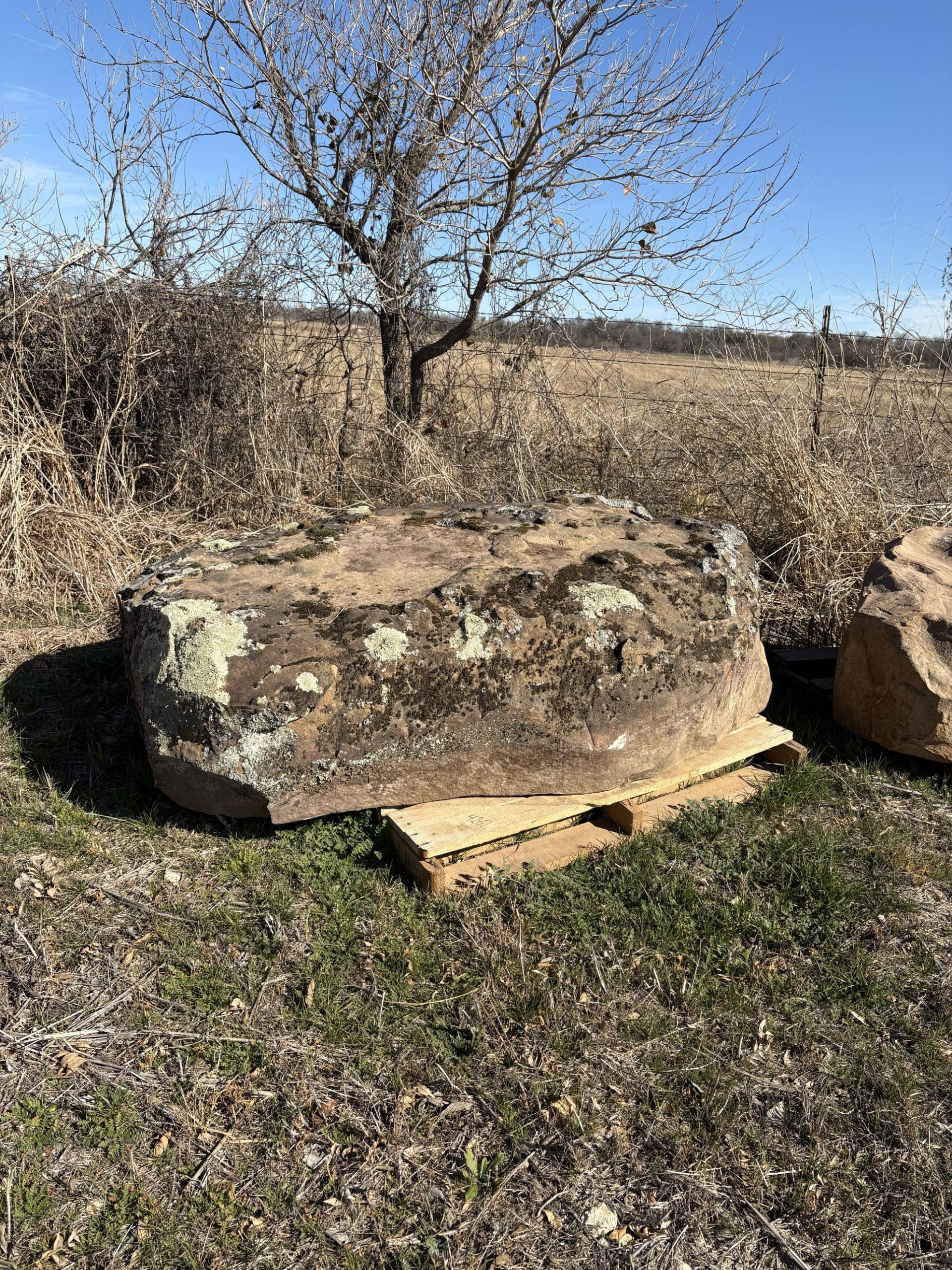 Moss boulder example 2